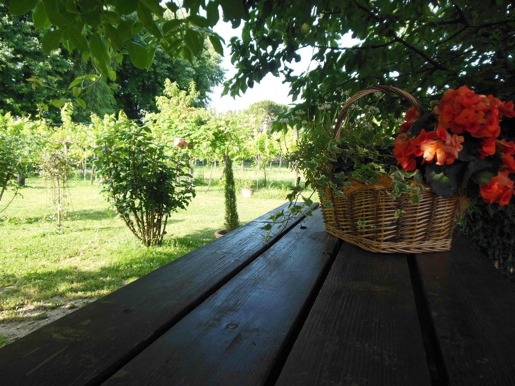 Al Pic De Corone Bed and Breakfast Terzo d' Aquileia Exteriör bild