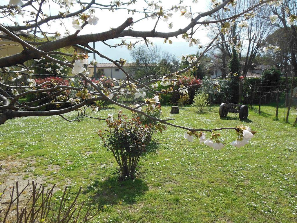 Al Pic De Corone Bed and Breakfast Terzo d' Aquileia Exteriör bild