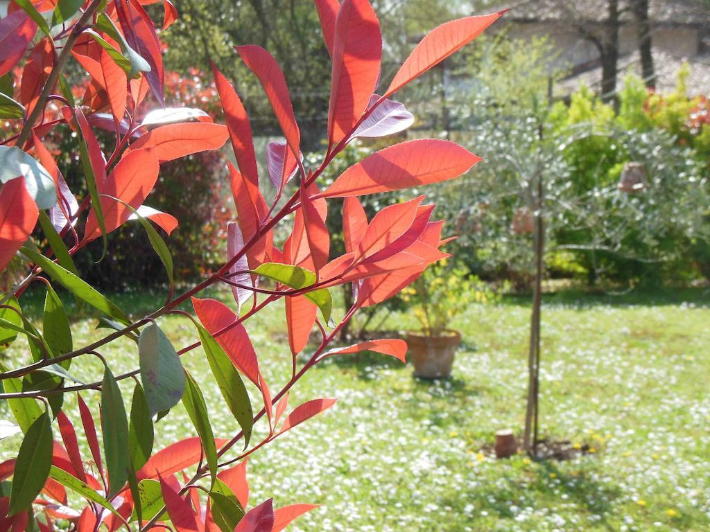Al Pic De Corone Bed and Breakfast Terzo d' Aquileia Exteriör bild