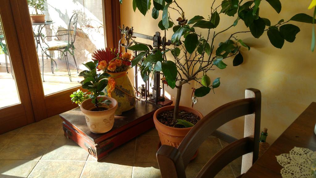 Al Pic De Corone Bed and Breakfast Terzo d' Aquileia Exteriör bild