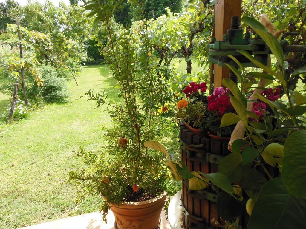 Al Pic De Corone Bed and Breakfast Terzo d' Aquileia Exteriör bild