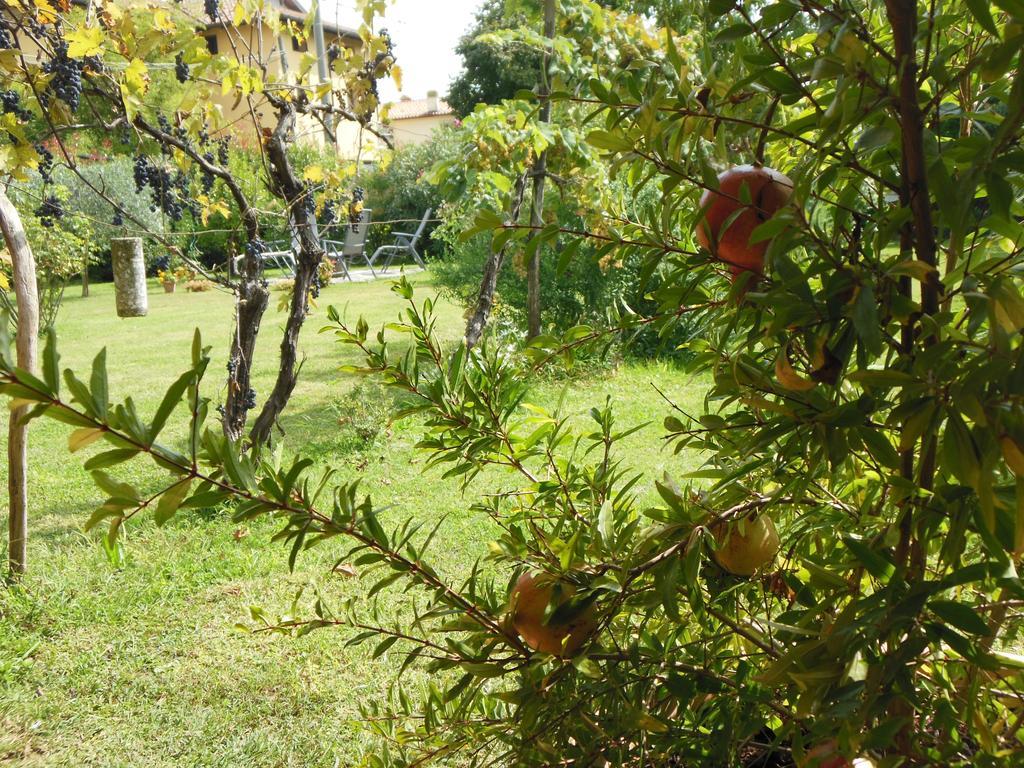 Al Pic De Corone Bed and Breakfast Terzo d' Aquileia Exteriör bild